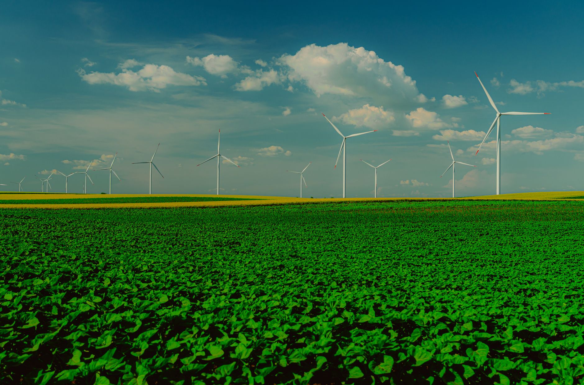 Fields and wind turbines, illustrative photograph